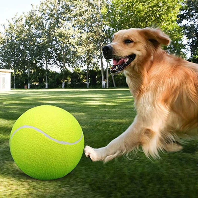 9.5Inch Dog Tennis Ball Giant Pet Toys for Dog Chewing Toy Signature Mega Jumbo Kids Ball Training Supplies Dropship Plush