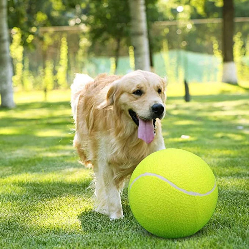 9.5Inch Dog Tennis Ball Giant Pet Toys for Dog Chewing Toy Signature Mega Jumbo Kids Ball Training Supplies Dropship Plush
